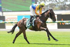 CLASSY RETURN FROM YOUNG STAYER